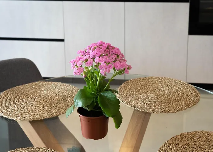 Rooms & Suites Loft 2F - Central Arrecife, Lanzarote - Free Parking Apartman