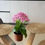 & Loft 2f - Arrecife, Lanzarote - Free Parking Apartment